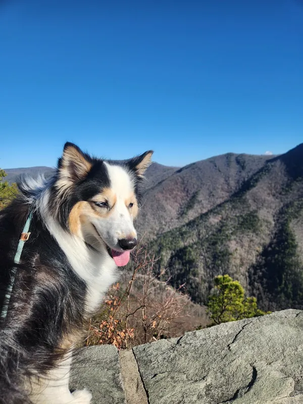 Theia on a rocky overlook in the mountains